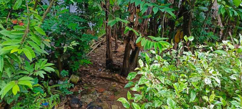 dijual tanah dijual tanah di desa