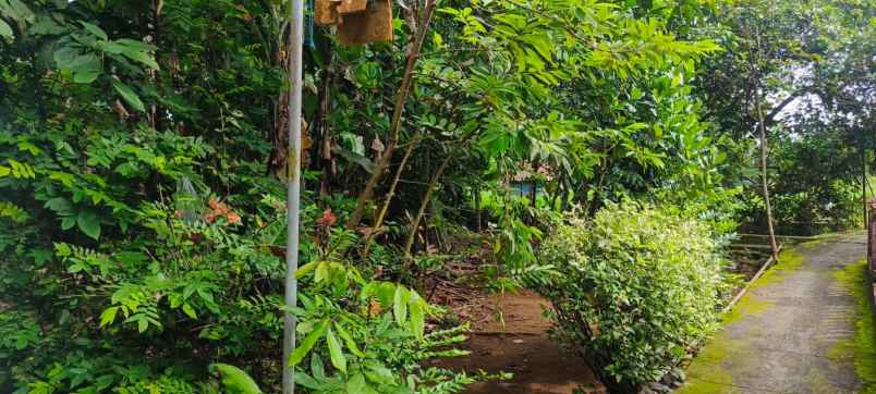 dijual tanah dijual tanah di desa
