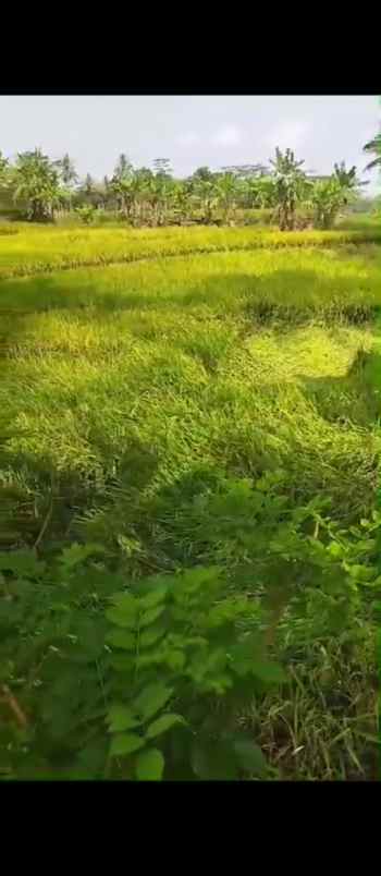 dijual tanah dijual tanah di jl