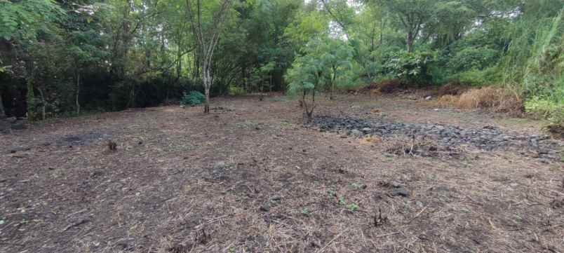 dijual tanah dusun sidomulyo brintikan