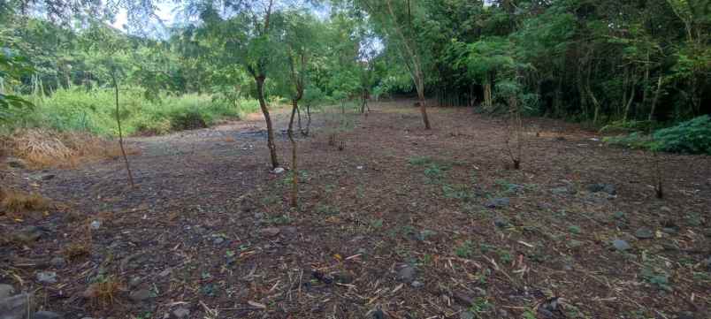 dijual tanah dusun sidomulyo brintikan