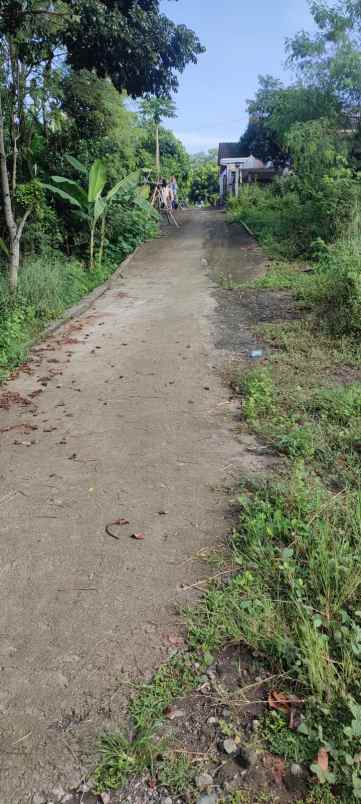 dijual tanah dusun sidomulyo brintikan
