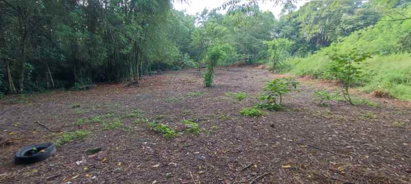 dijual tanah dusun sidomulyo brintikan