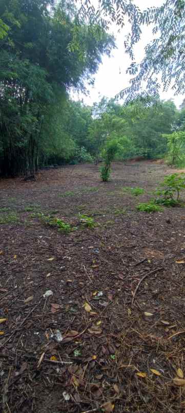 dijual tanah dusun sidomulyo brintikan