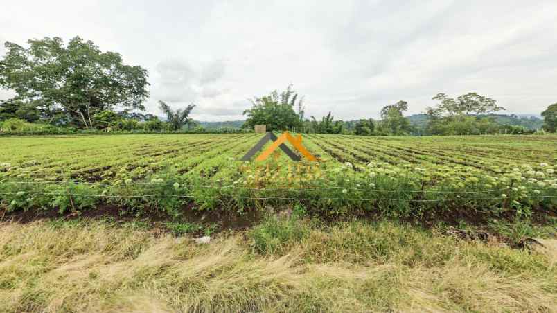 dijual tanah jalan kubucolia seberaya