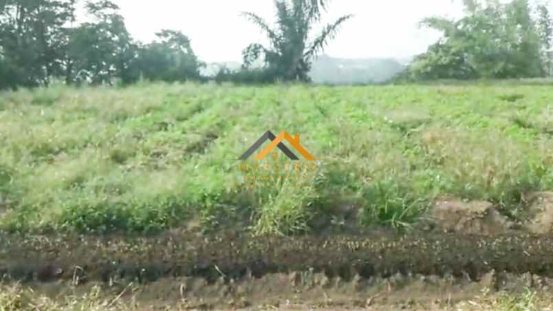 dijual tanah jalan kubucolia seberaya