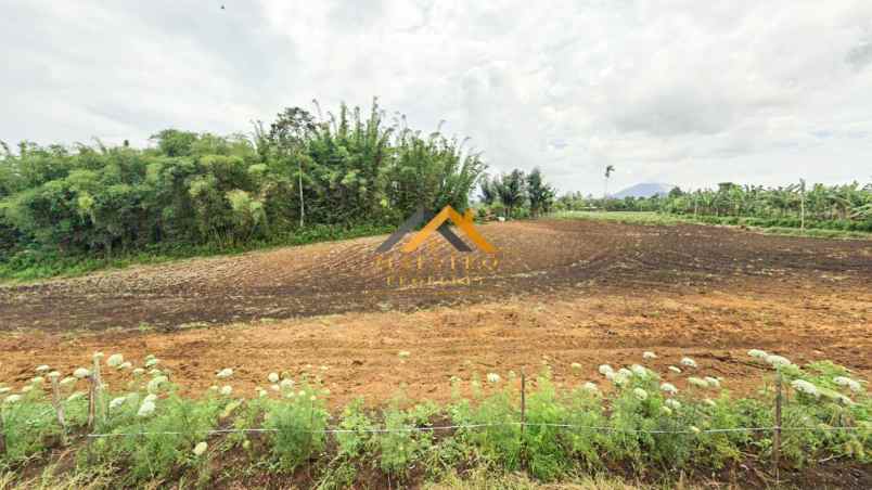 dijual tanah jalan kubucolia seberaya