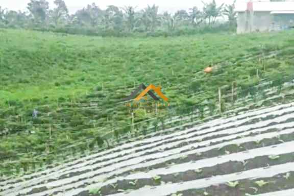 dijual tanah jalan kubucolia seberaya