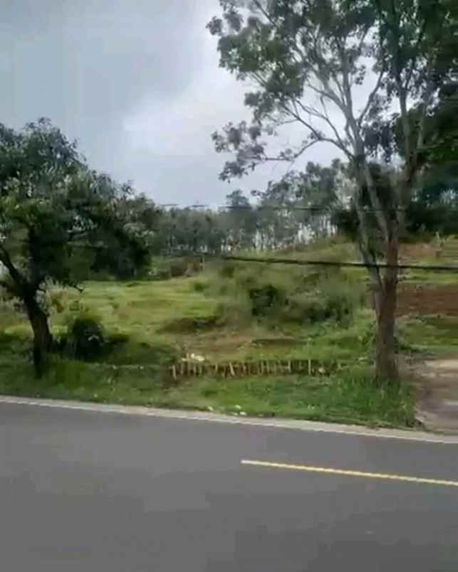 dijual tanah jalan nasional iii desa ciaro