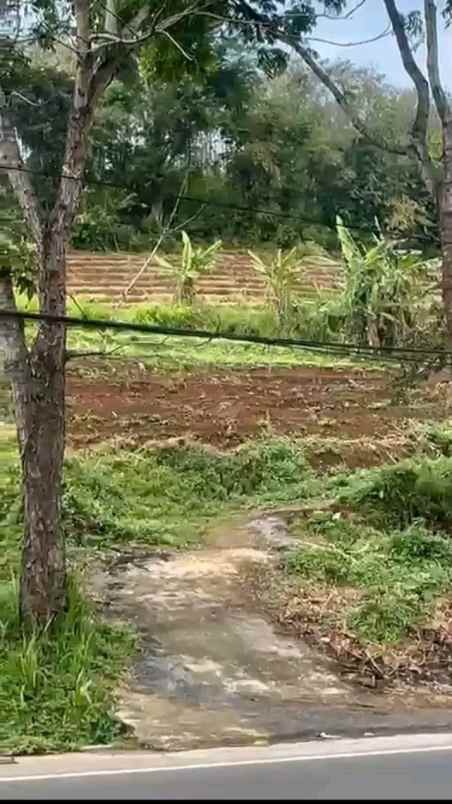 dijual tanah jalan nasional iii desa ciaro