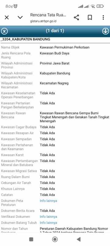 dijual tanah jalan nasional iii desa ciaro