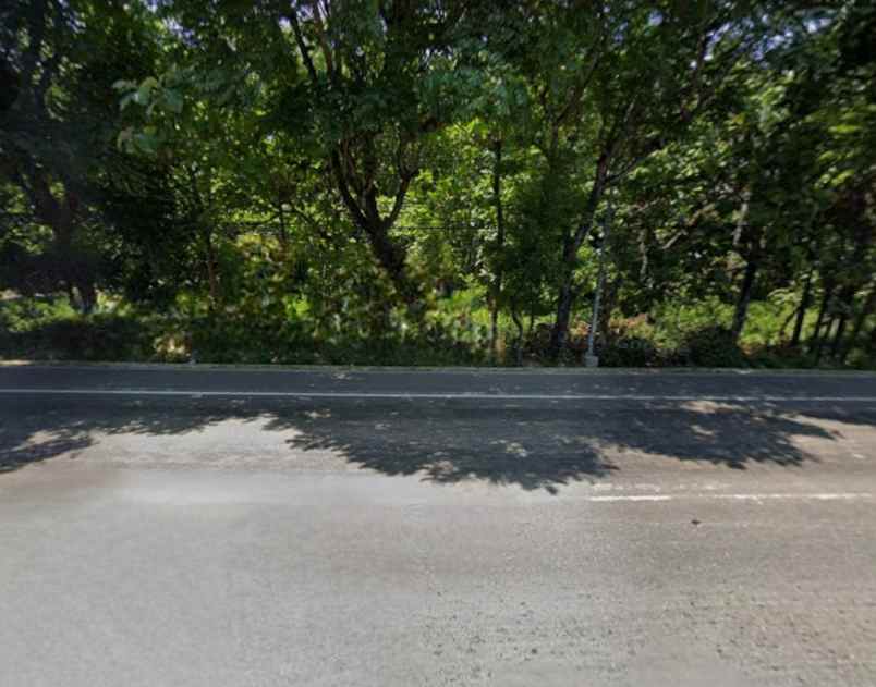 dijual tanah jalan raya pantura tuban