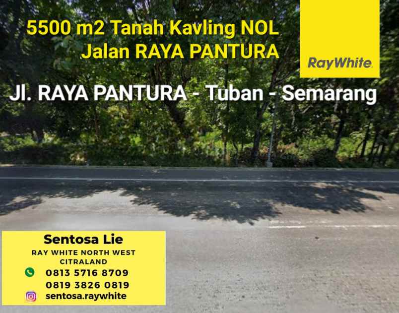 dijual tanah jalan raya pantura tuban