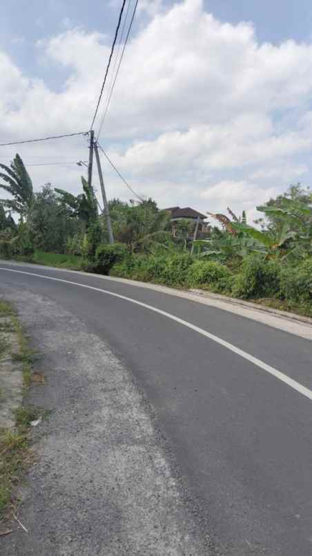 dijual tanah jalan tanah lot belalang