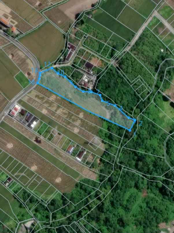 dijual tanah jalan tanah lot belalang