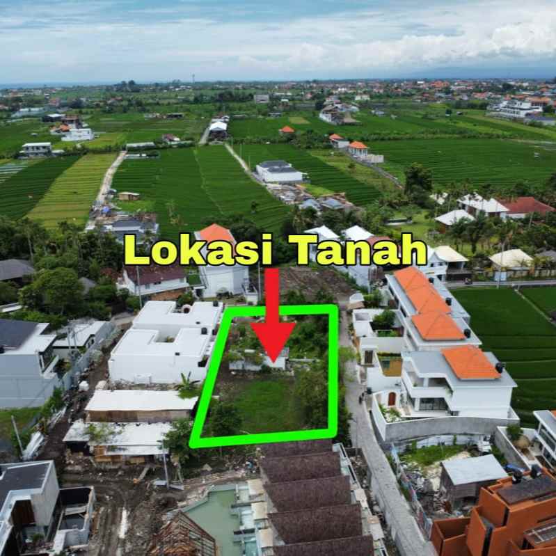 dijual tanah jantuk angsa