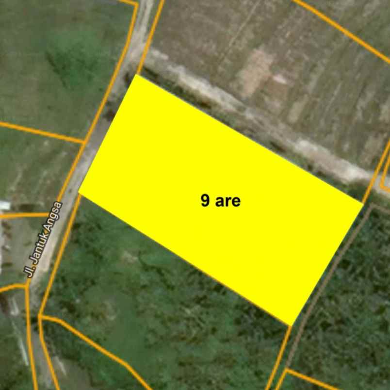 dijual tanah jantuk angsa