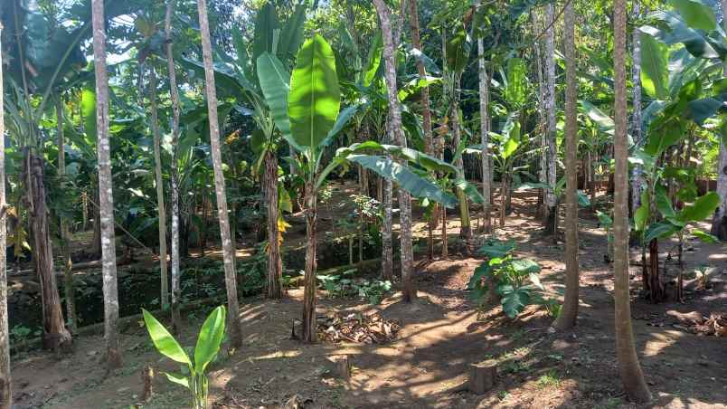 dijual tanah jl cikole