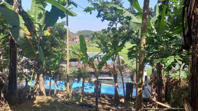 dijual tanah jl cikole