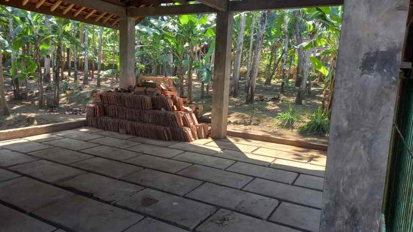 dijual tanah jl cikole