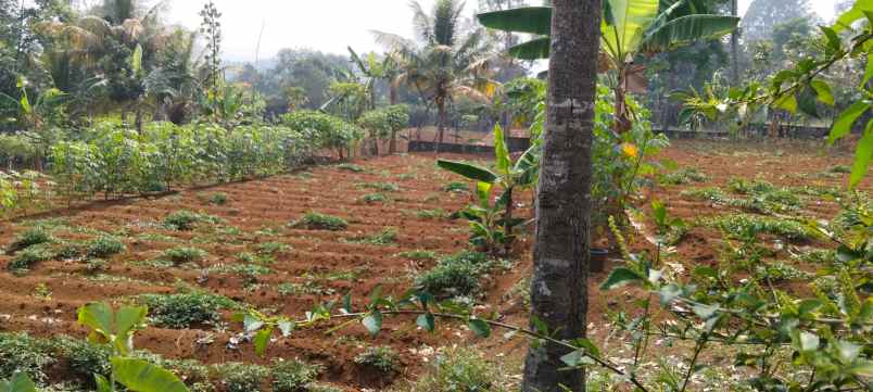 dijual tanah jl cikopo sel gadog kec
