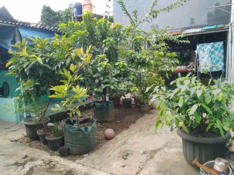 Jual Tanah Di Jl H Kamang Pondok Labu Dekat Stasiun Mrt Fatmawati
