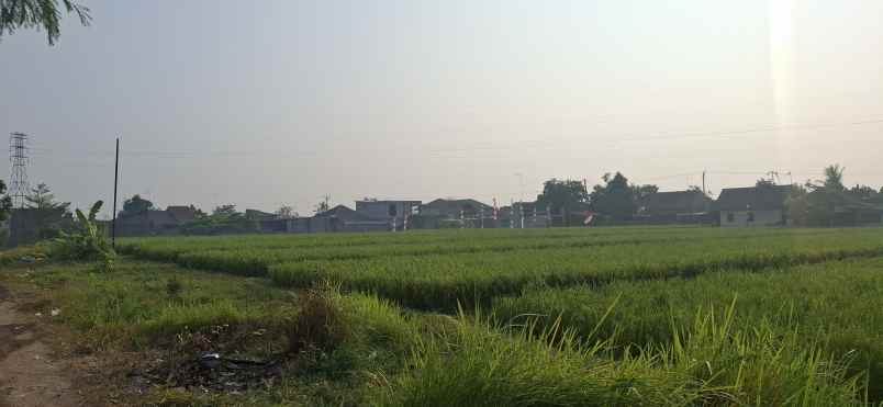 dijual tanah jl kapten halim purwakarta