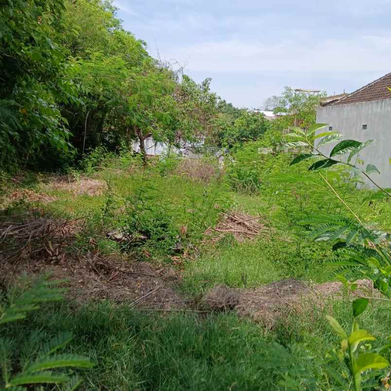 dijual tanah jl palapa poltek