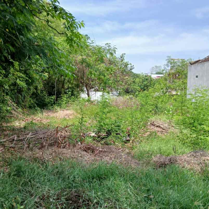 dijual tanah jl palapa poltek