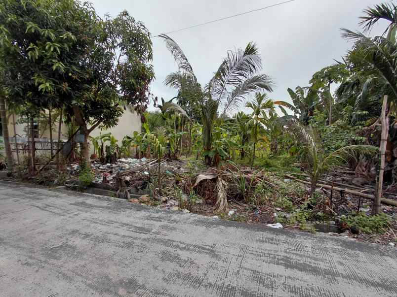 dijual tanah jl pandan