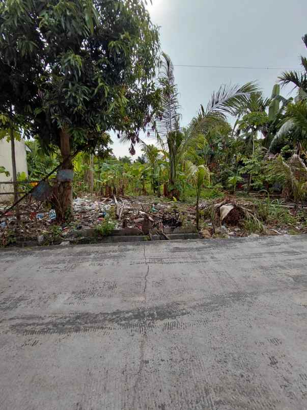 dijual tanah jl pandan