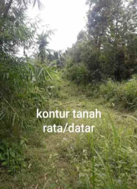 dijual tanah jl parigi desa pasangrahan