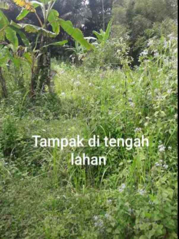 dijual tanah jl parigi desa pasangrahan