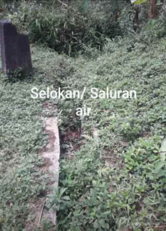 dijual tanah jl parigi desa pasangrahan
