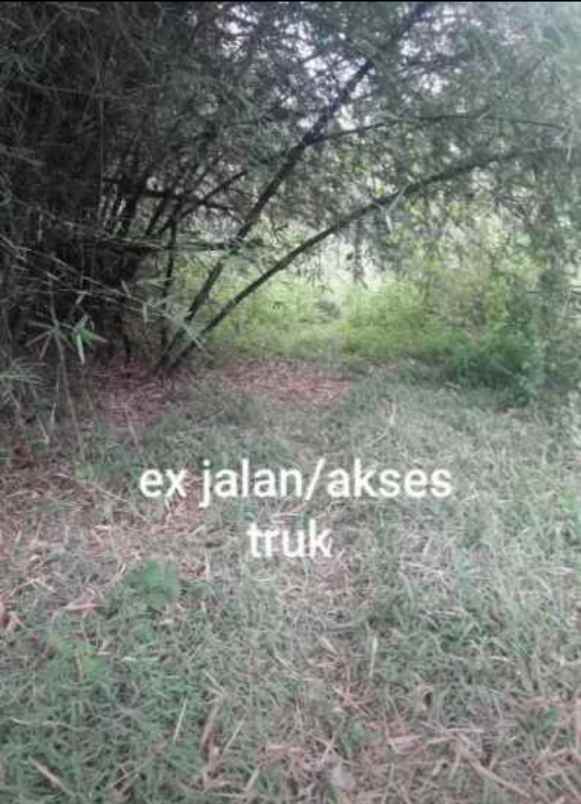 dijual tanah jl parigi desa pasangrahan