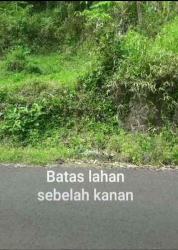 dijual tanah jl parigi desa pasangrahan