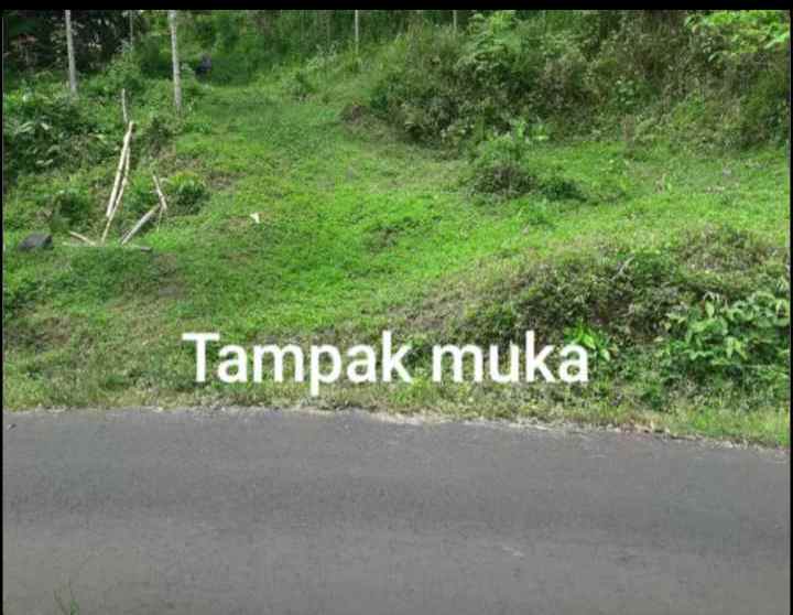 dijual tanah jl parigi desa pasangrahan