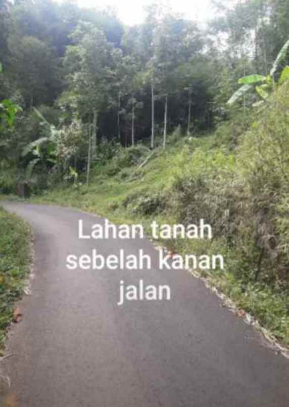 dijual tanah jl parigi desa pasangrahan