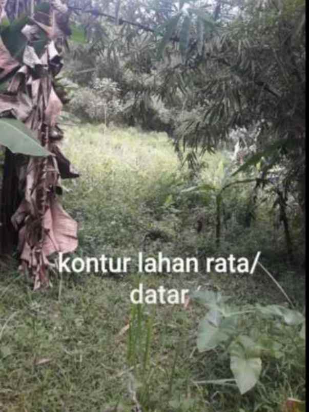dijual tanah jl parigi desa pasangrahan