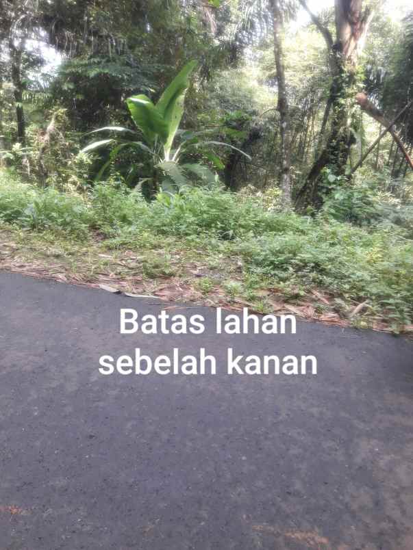 dijual tanah jl parigi pasanggrahan
