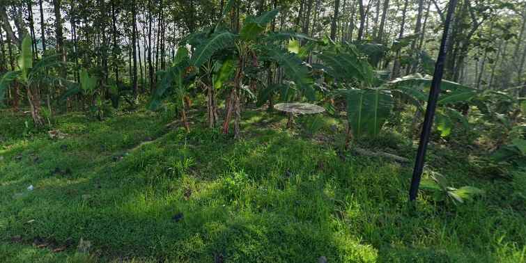 Tanah Dijual Lokasi Strategis Pinggir Jalan Besar Kabupaten