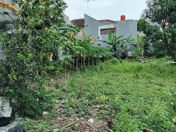 dijual tanah jl ringin raya condong