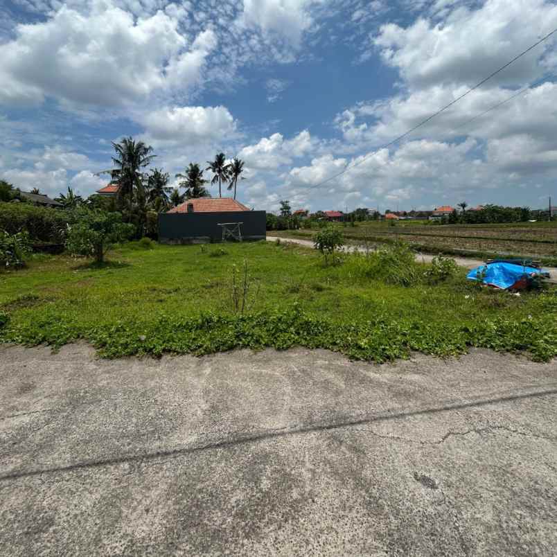 dijual tanah jl teruna jaya jalak putih