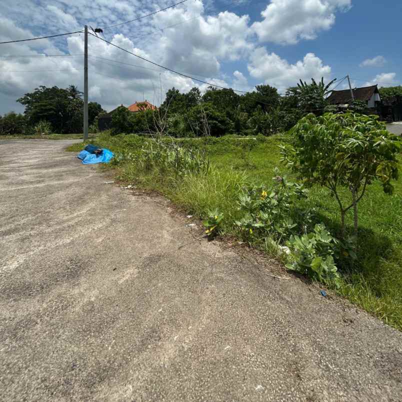 dijual tanah jl teruna jaya jalak putih