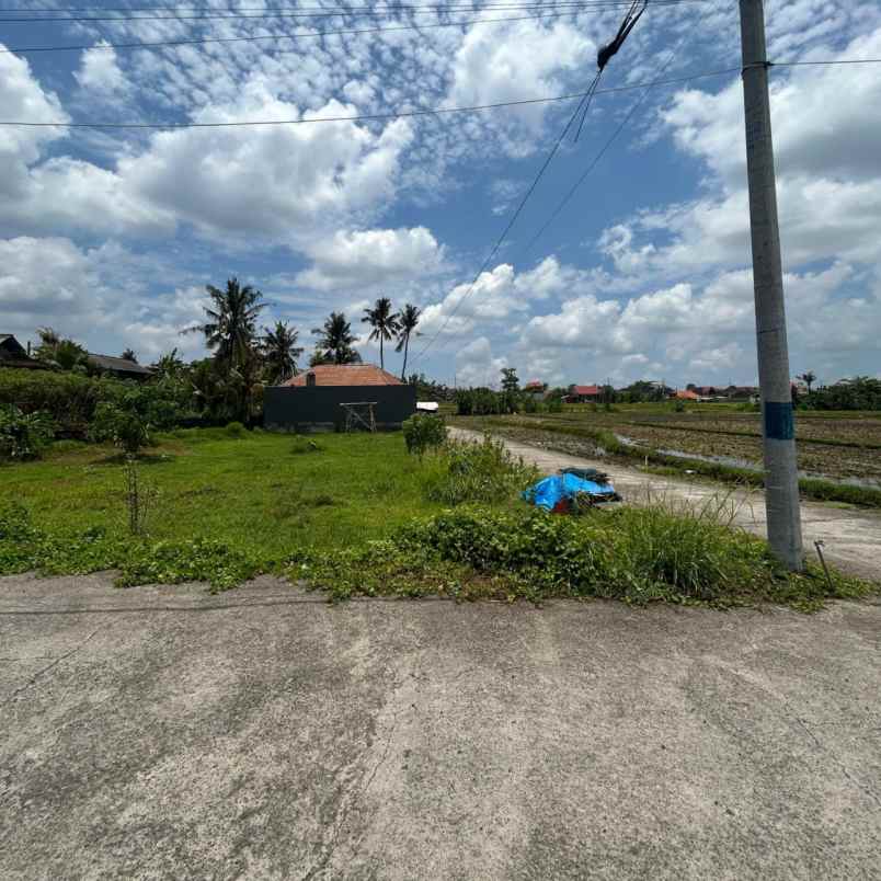 dijual tanah jl teruna jaya jalak putih