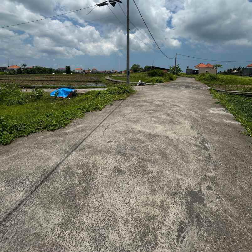 dijual tanah jl teruna jaya jalak putih