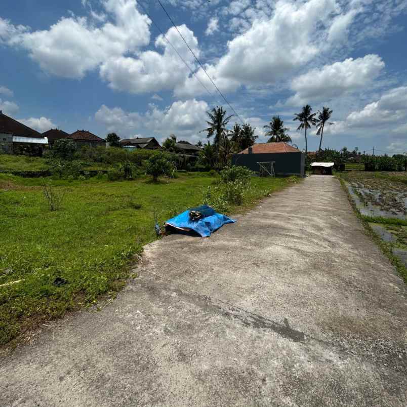 dijual tanah jl teruna jaya jalak putih