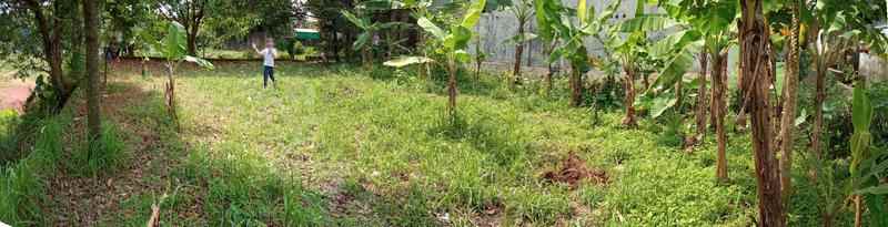 dijual tanah kampung cikempong