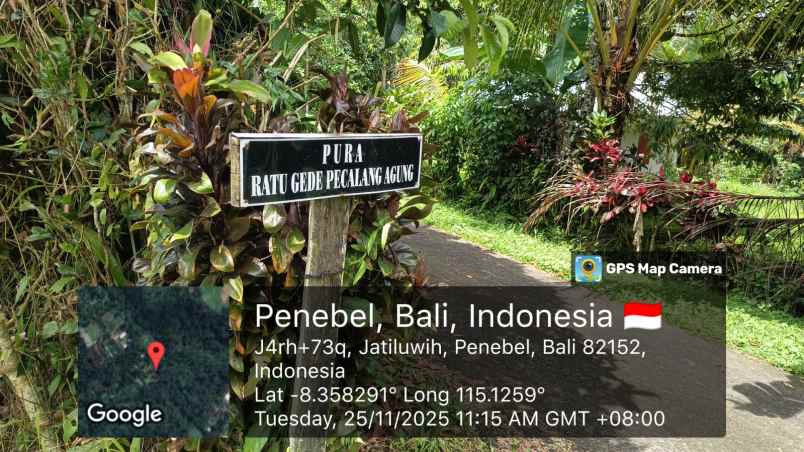 dijual tanah kebun 68 9 are jatiluwih penebel tabanan