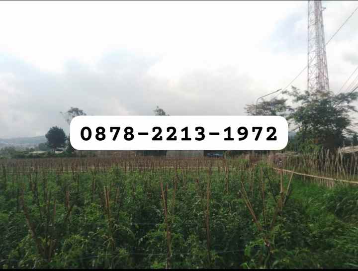 dijual tanah kol masturi lembang bandung
